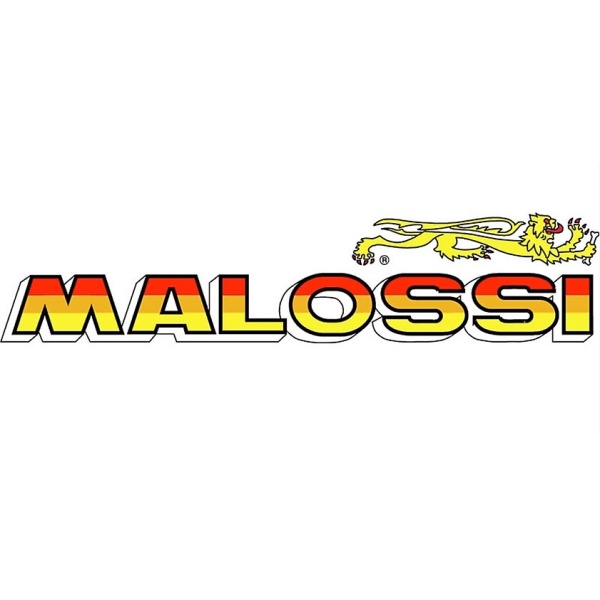 Sticker Moto Malossi 15x4cm